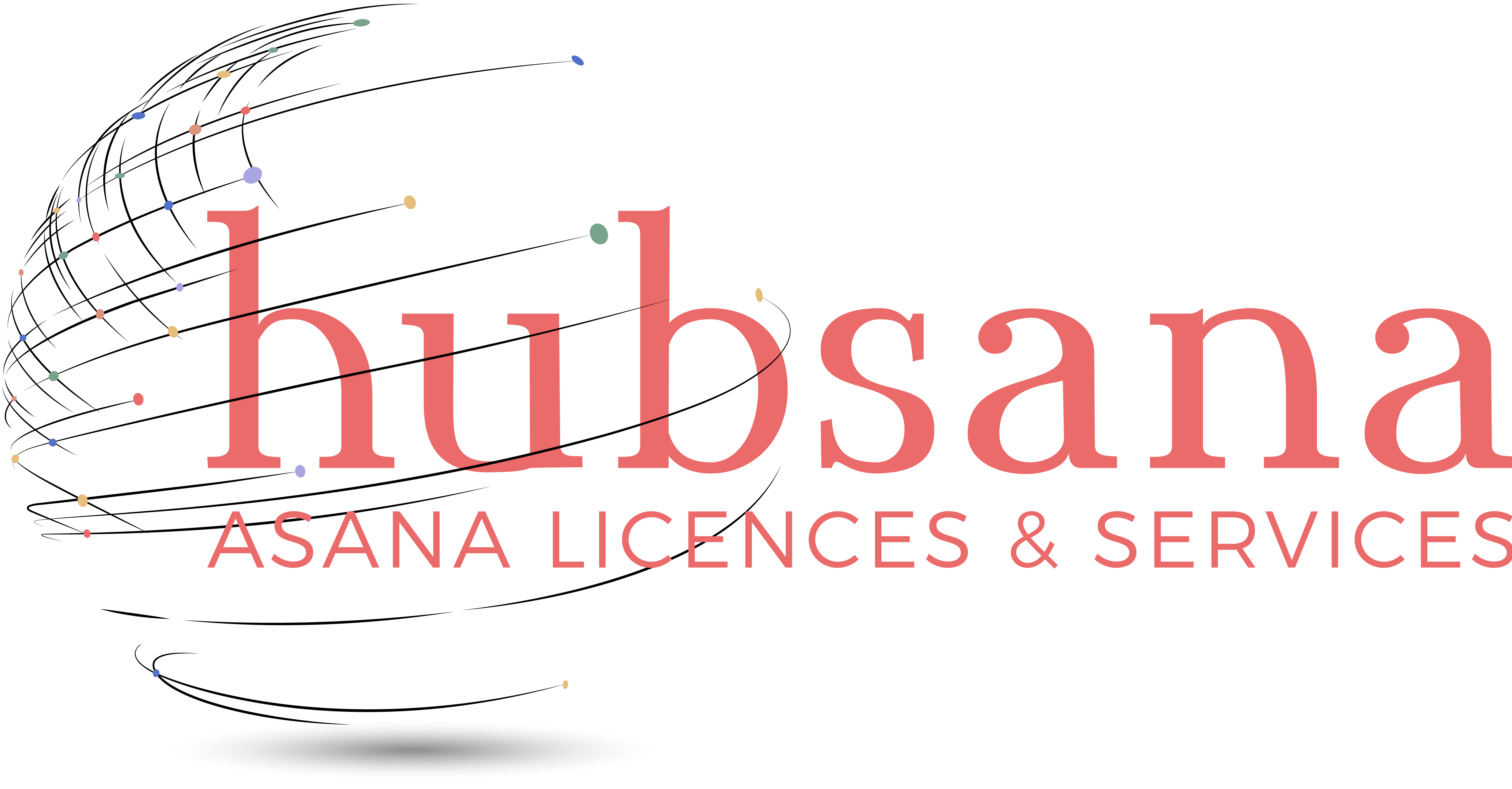 Logo Hubsana